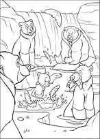 coloriage frere des ours le clan des ours